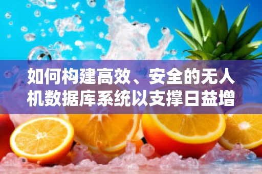 如何构建高效、安全的无人机数据库系统以支撑日益增长的市场需求？
