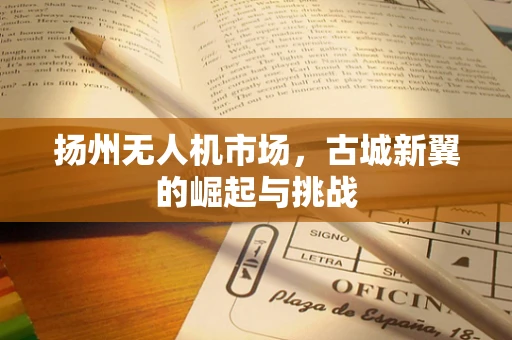 扬州无人机市场，古城新翼的崛起与挑战