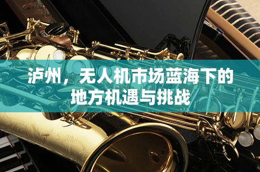 泸州，无人机市场蓝海下的地方机遇与挑战