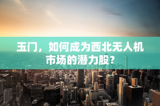 玉门，如何成为西北无人机市场的潜力股？