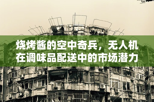 烧烤酱的空中奇兵，无人机在调味品配送中的市场潜力？