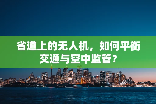 省道上的无人机，如何平衡交通与空中监管？