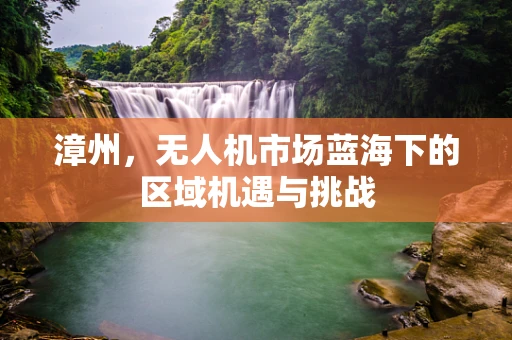 漳州，无人机市场蓝海下的区域机遇与挑战