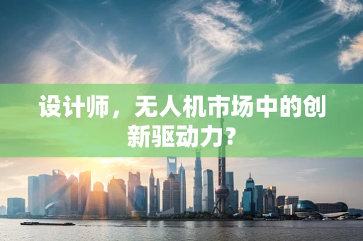 设计师，无人机市场中的创新驱动力？