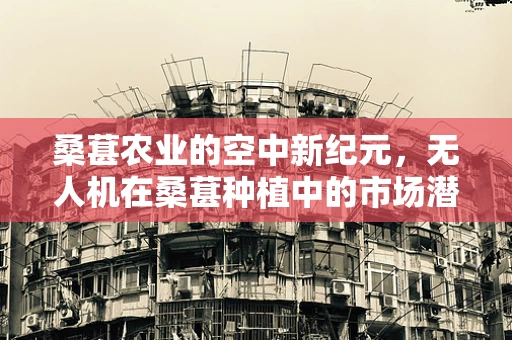 桑葚农业的空中新纪元，无人机在桑葚种植中的市场潜力与挑战？