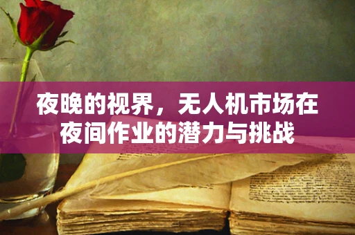 夜晚的视界，无人机市场在夜间作业的潜力与挑战