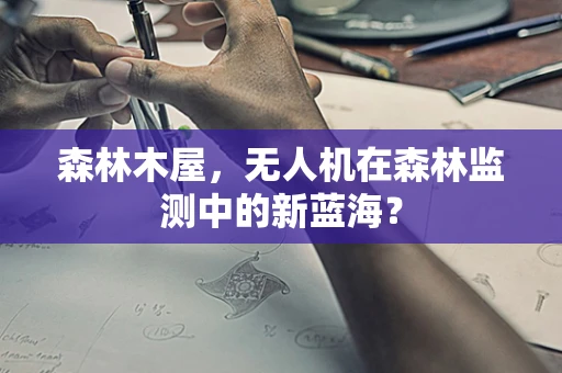 森林木屋，无人机在森林监测中的新蓝海？
