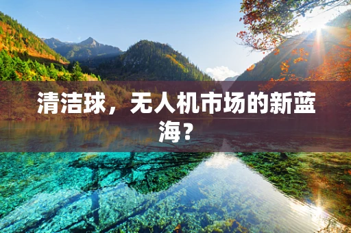 清洁球，无人机市场的新蓝海？