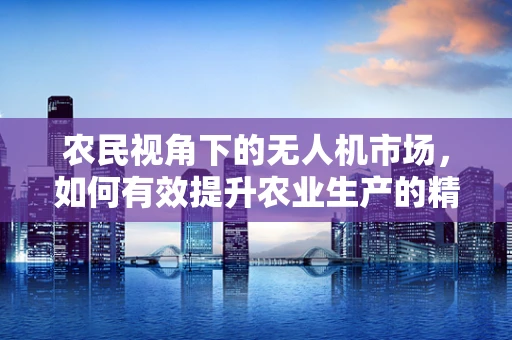 农民视角下的无人机市场，如何有效提升农业生产的精准度与效率？