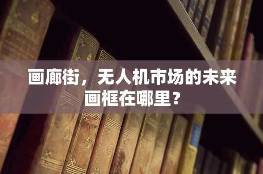 画廊街，无人机市场的未来画框在哪里？
