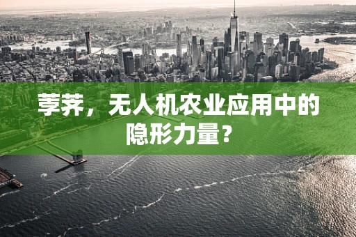 荸荠，无人机农业应用中的隐形力量？