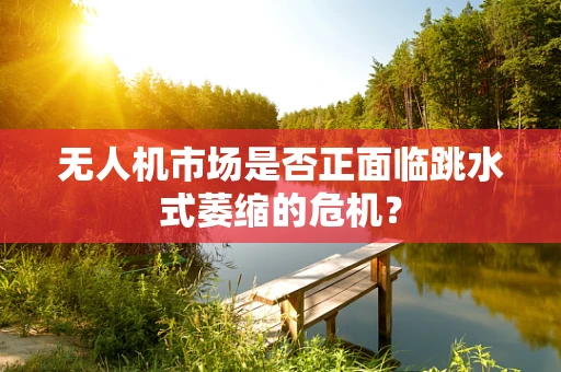 无人机市场是否正面临跳水式萎缩的危机？