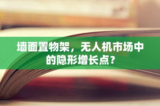 墙面置物架，无人机市场中的隐形增长点？
