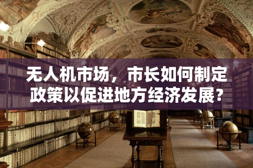 无人机市场，市长如何制定政策以促进地方经济发展？