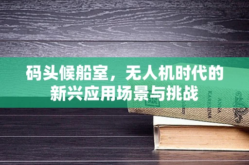 码头候船室，无人机时代的新兴应用场景与挑战