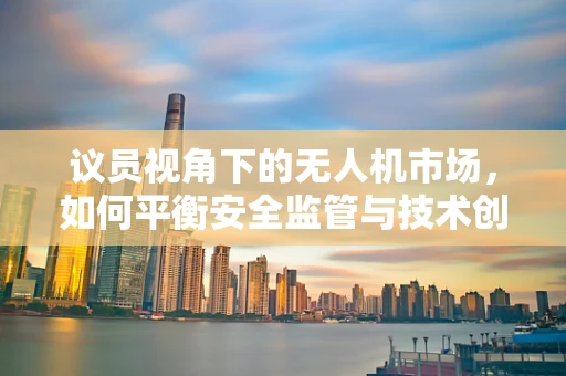 议员视角下的无人机市场，如何平衡安全监管与技术创新？