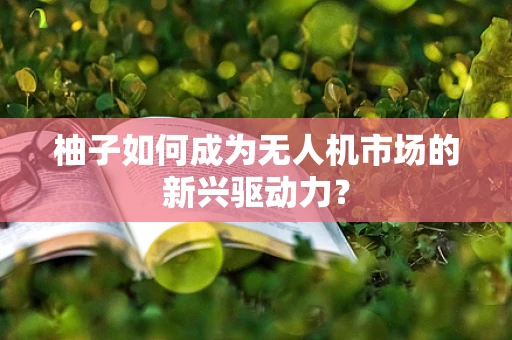 柚子如何成为无人机市场的新兴驱动力？