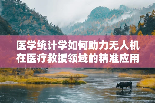医学统计学如何助力无人机在医疗救援领域的精准应用？
