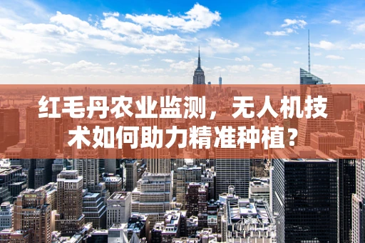 红毛丹农业监测，无人机技术如何助力精准种植？