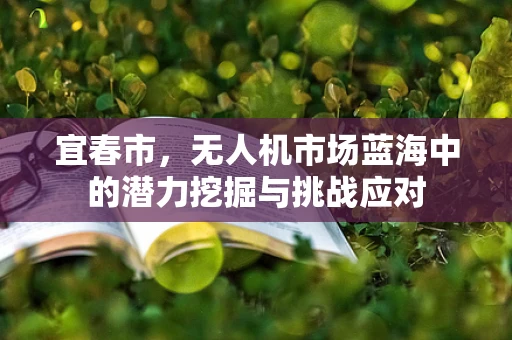 宜春市，无人机市场蓝海中的潜力挖掘与挑战应对