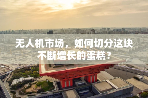无人机市场，如何切分这块不断增长的蛋糕？