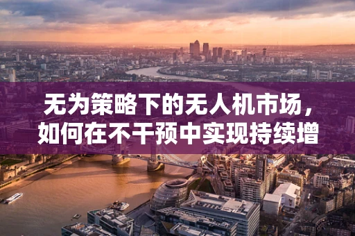无为策略下的无人机市场，如何在不干预中实现持续增长？