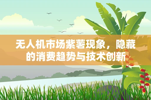 无人机市场紫薯现象，隐藏的消费趋势与技术创新