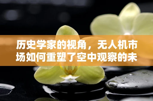 历史学家的视角，无人机市场如何重塑了空中观察的未来？