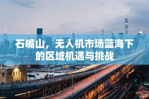 石嘴山，无人机市场蓝海下的区域机遇与挑战