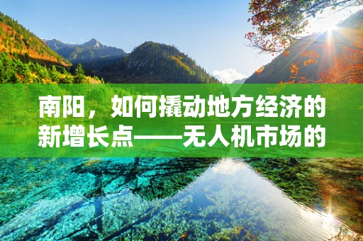 南阳，如何撬动地方经济的新增长点——无人机市场的潜力与挑战