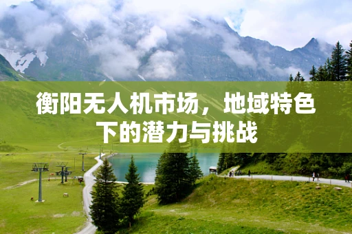 衡阳无人机市场，地域特色下的潜力与挑战