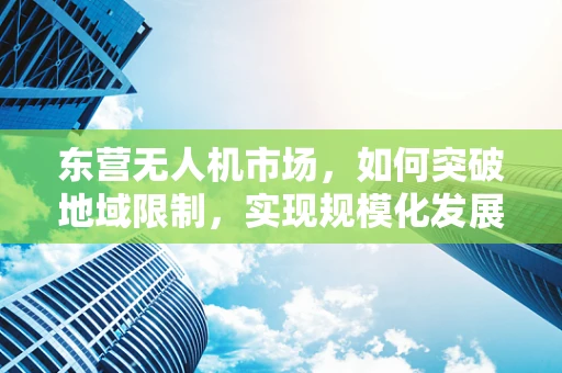 东营无人机市场，如何突破地域限制，实现规模化发展？