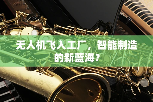 无人机飞入工厂，智能制造的新蓝海？