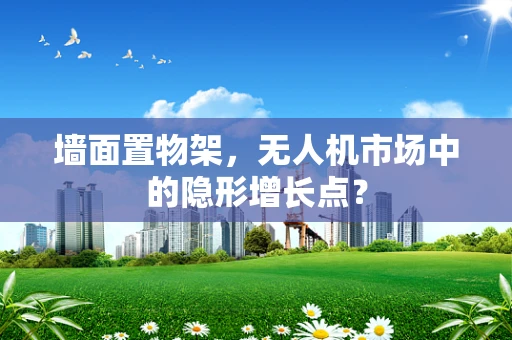 墙面置物架，无人机市场中的隐形增长点？