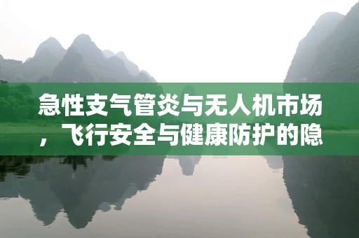 急性支气管炎与无人机市场，飞行安全与健康防护的隐忧