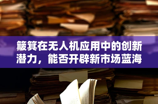 簸箕在无人机应用中的创新潜力，能否开辟新市场蓝海？