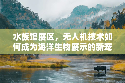 水族馆展区，无人机技术如何成为海洋生物展示的新宠？