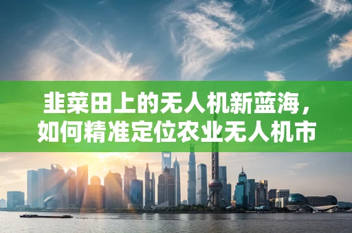 韭菜田上的无人机新蓝海，如何精准定位农业无人机市场？