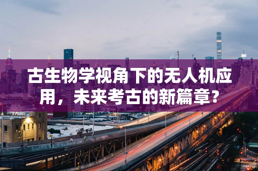 古生物学视角下的无人机应用，未来考古的新篇章？