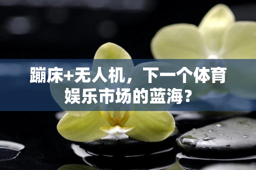蹦床+无人机，下一个体育娱乐市场的蓝海？