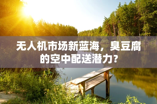无人机市场新蓝海，臭豆腐的空中配送潜力？