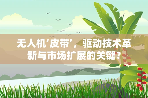 无人机‘皮带’，驱动技术革新与市场扩展的关键？