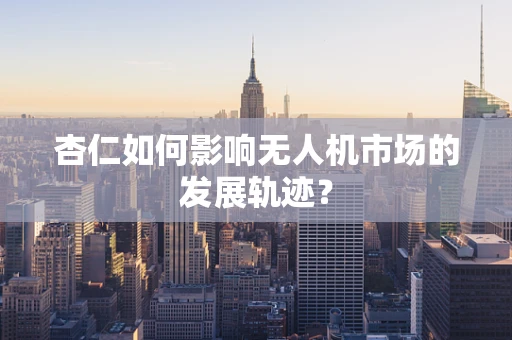 杏仁如何影响无人机市场的发展轨迹？