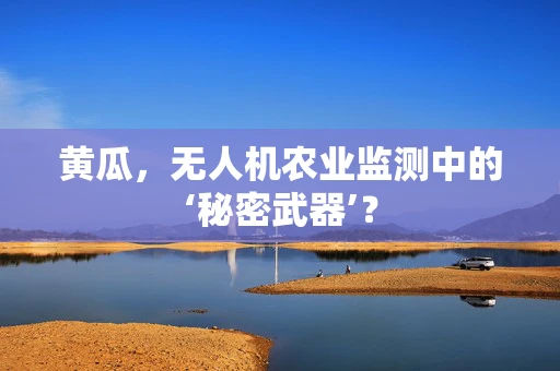 黄瓜，无人机农业监测中的‘秘密武器’？