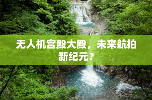 无人机宫殿大殿，未来航拍新纪元？