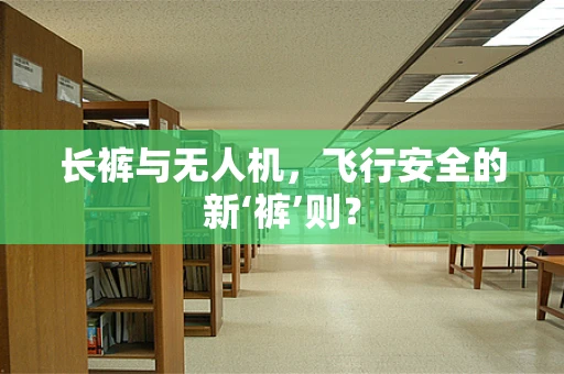 长裤与无人机，飞行安全的新‘裤’则？