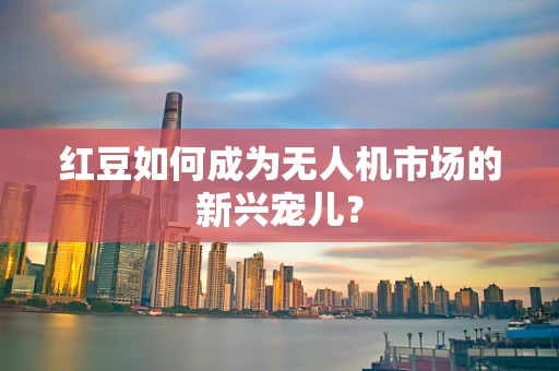 红豆如何成为无人机市场的新兴宠儿？