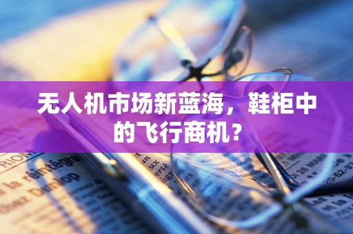 无人机市场新蓝海，鞋柜中的飞行商机？