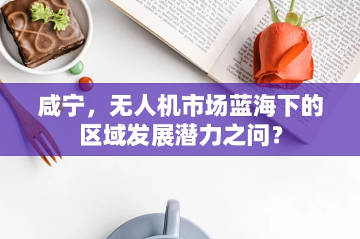 咸宁，无人机市场蓝海下的区域发展潜力之问？