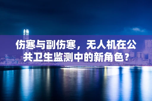 伤寒与副伤寒，无人机在公共卫生监测中的新角色？